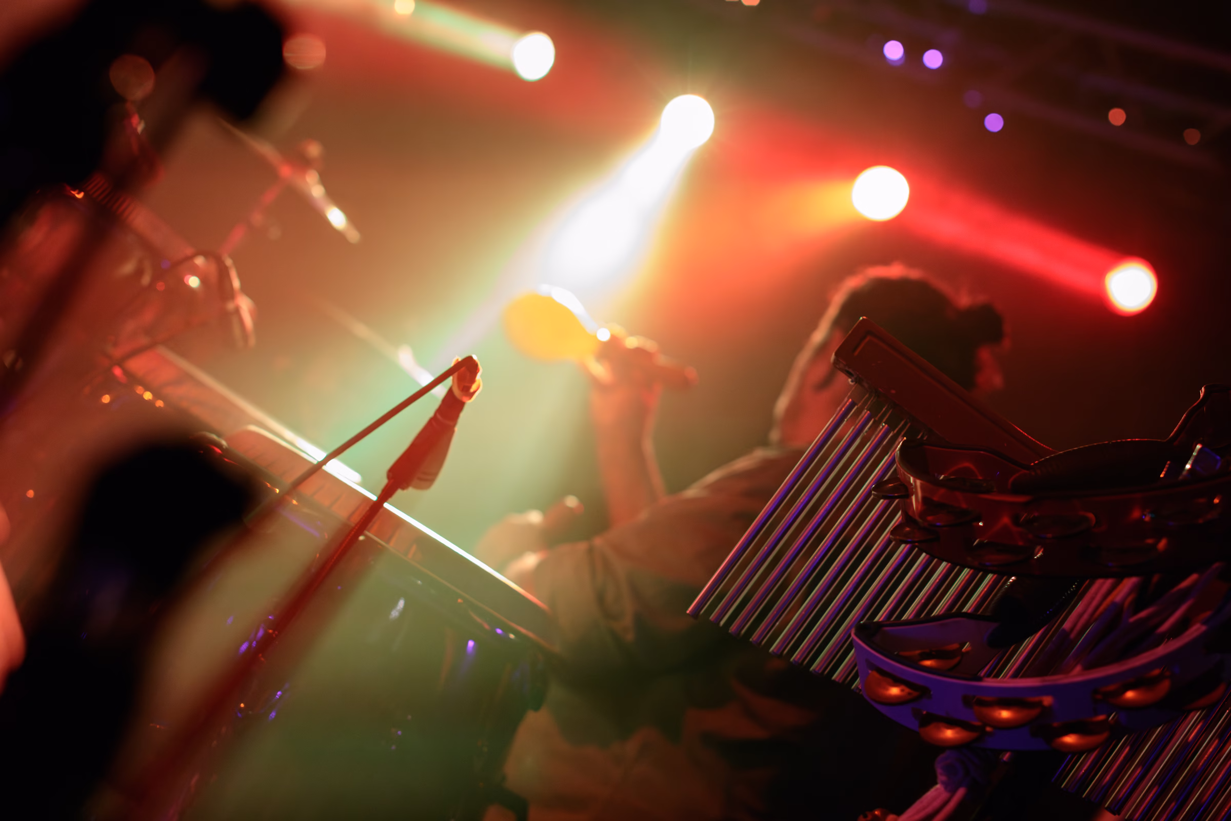 NYE 2026 Swamp Zen Rocks Lost on Main